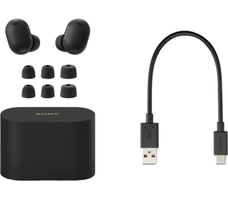 Sony WF-1000XM6 Truly Wireless Earbuds