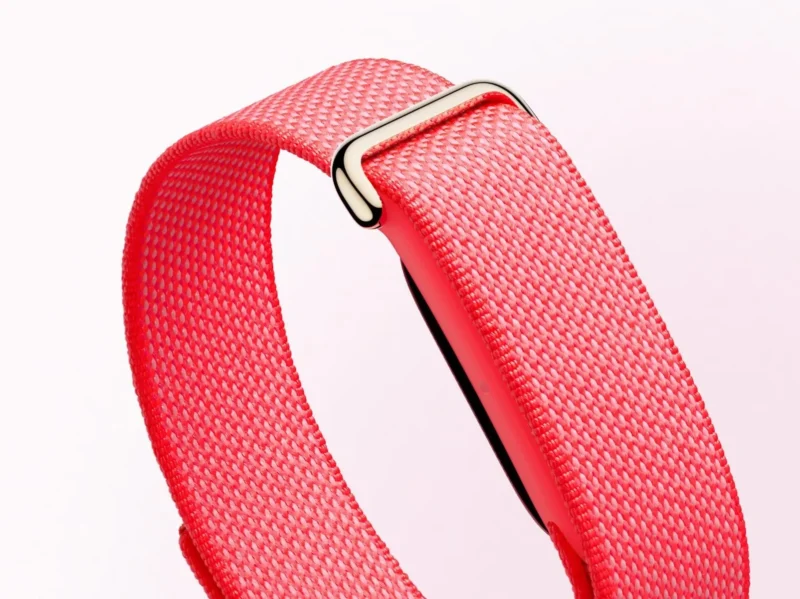 Google Fitbit Air Fitness Band