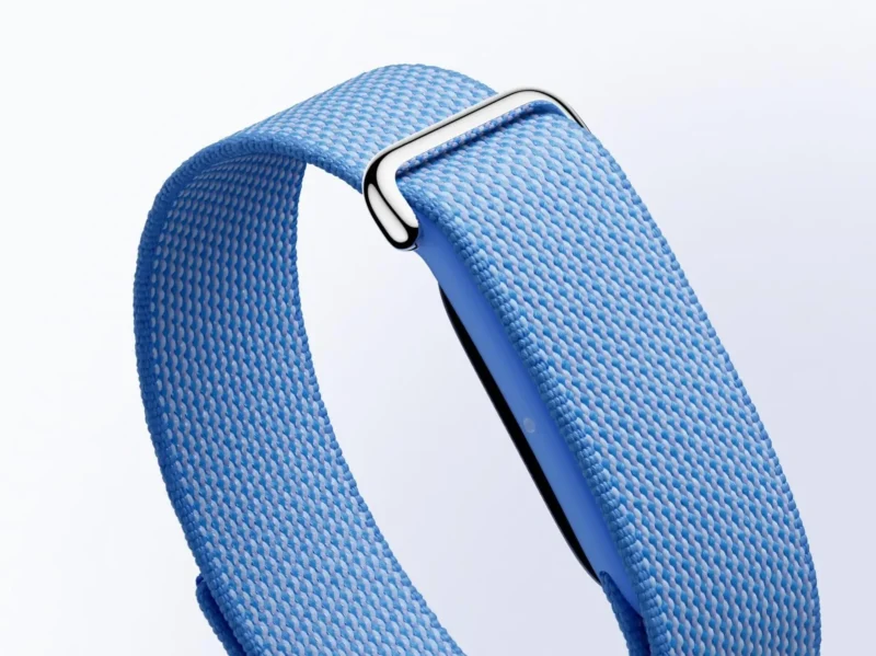 Google Fitbit Air Fitness Band